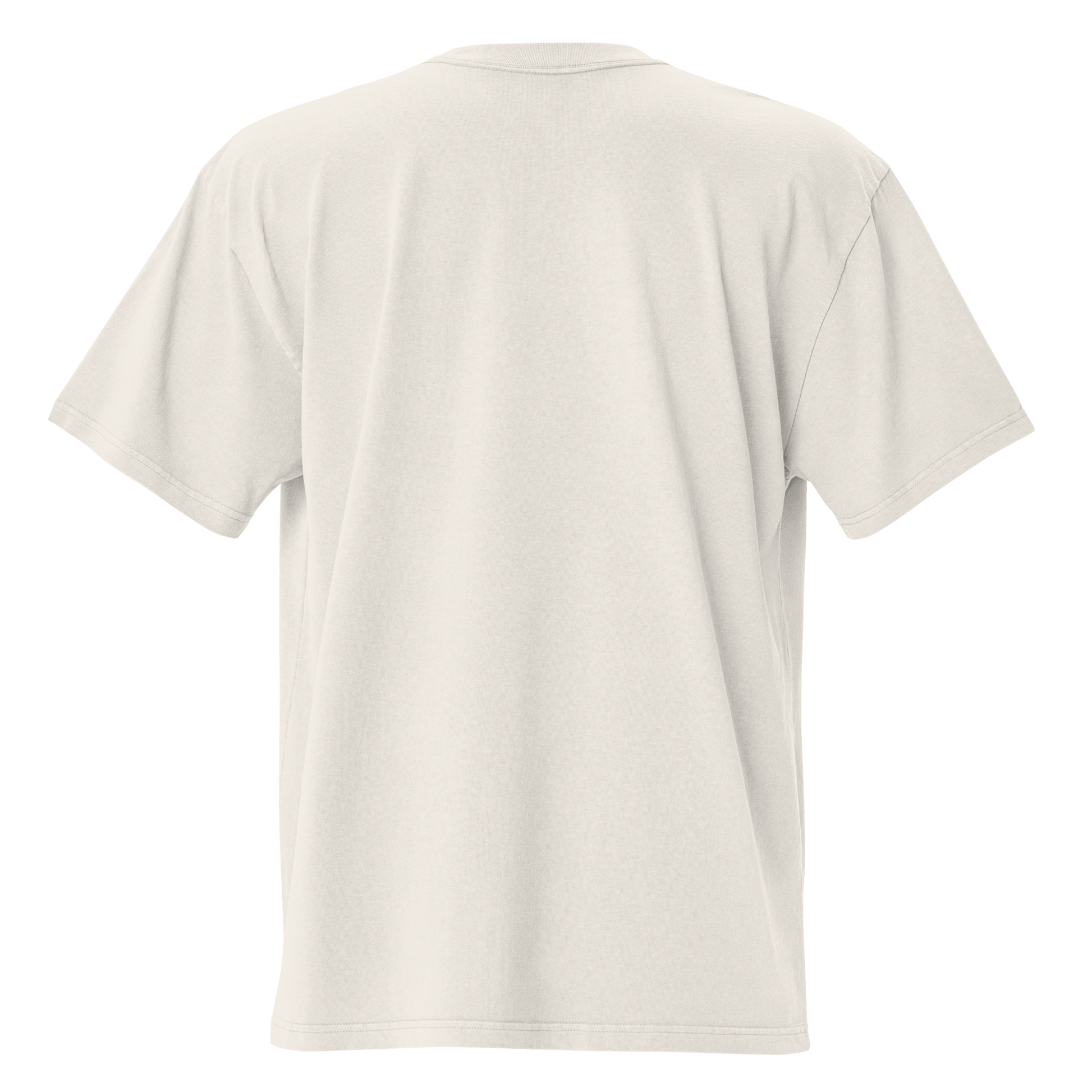 Full Body I Am Not Defined Two Color Print Oversized faded t-shirt - Bearclothing
