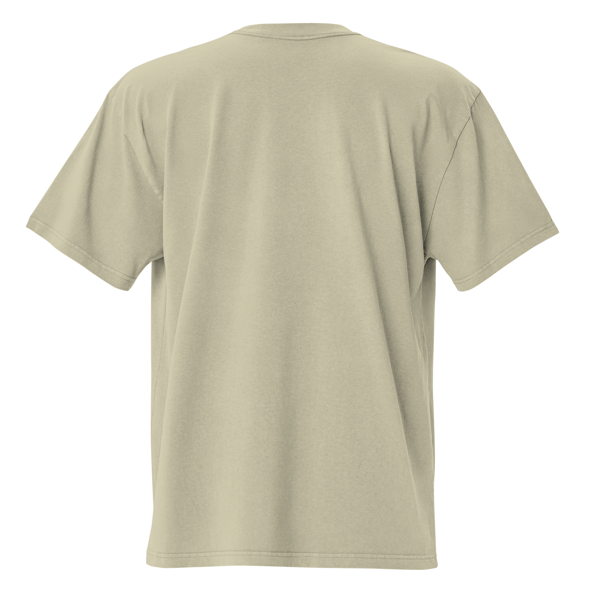 Full Body I Am Not Defined Two Color Print Oversized faded t-shirt - Bearclothing