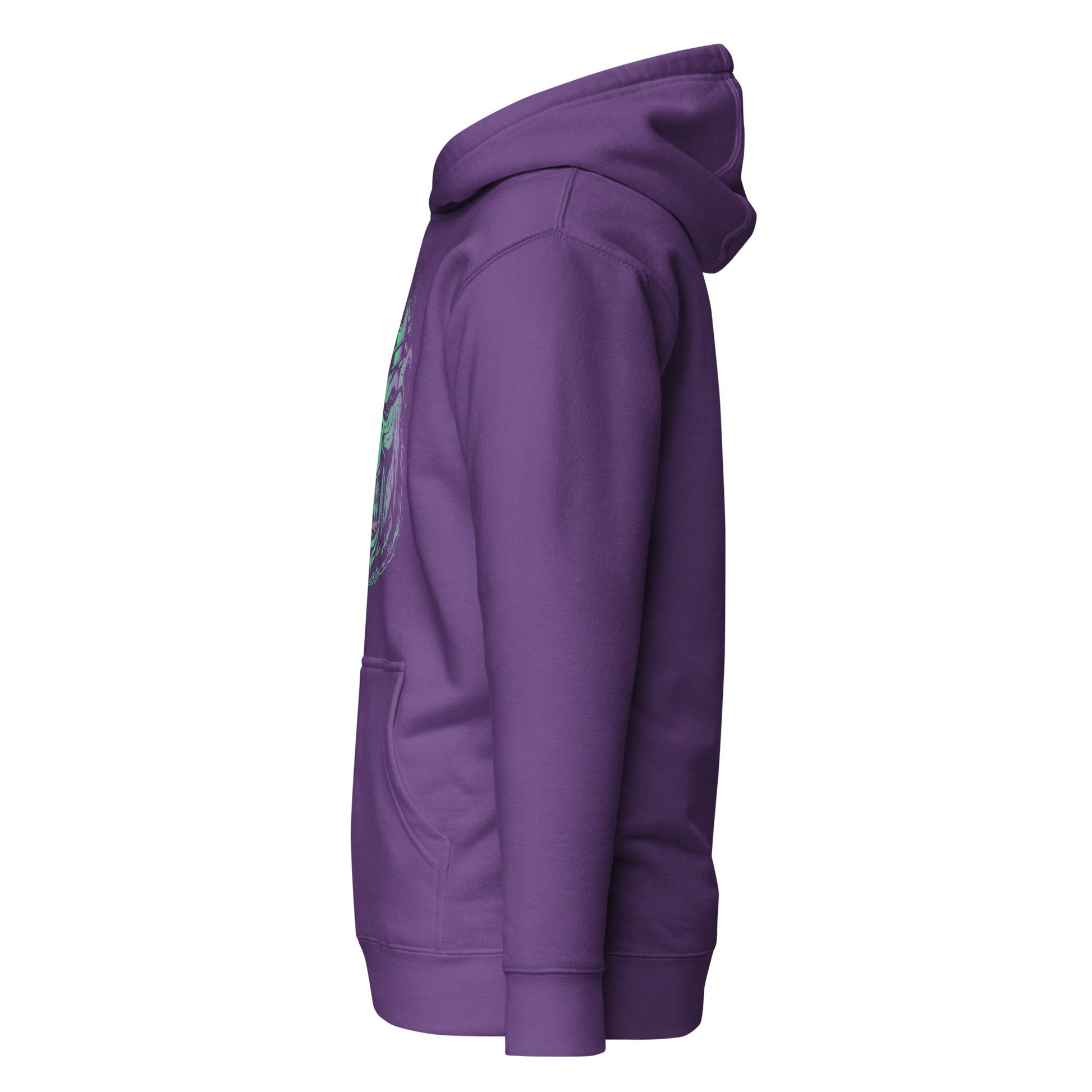 Multicolored Bear Unisex Hoodie - Bearclothing