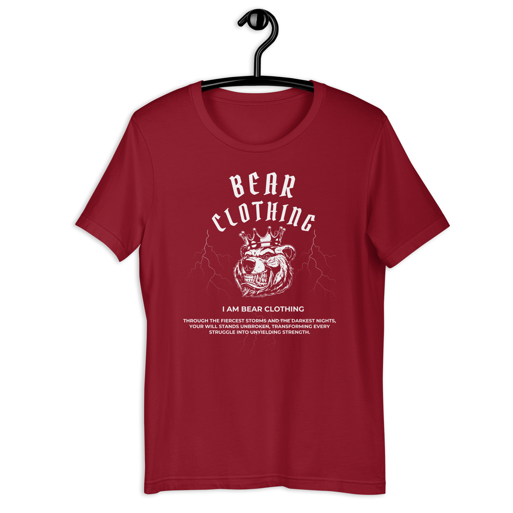 25$ Premium Unisex Graphic t-shirt - Bearclothing