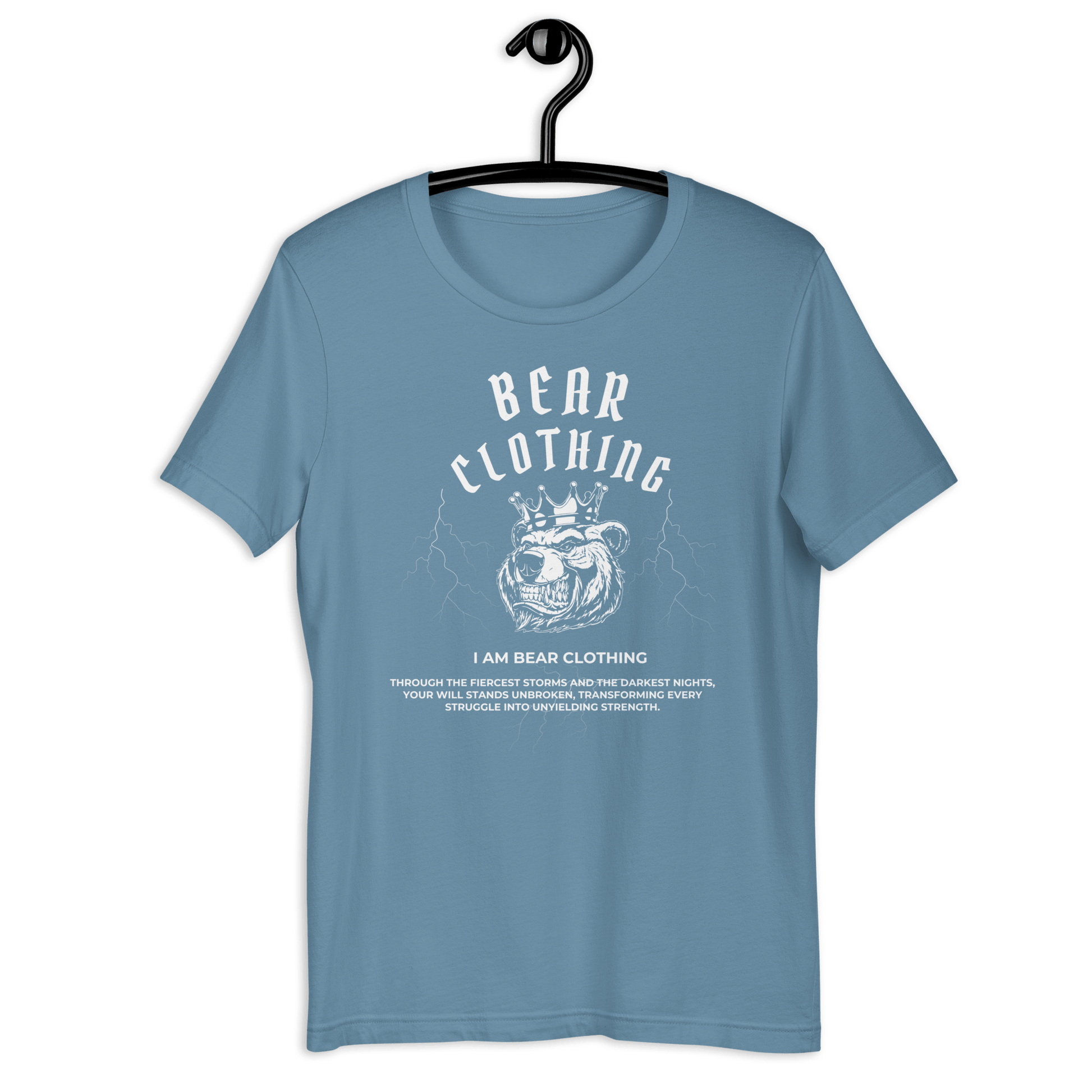 25$ Premium Unisex Graphic t-shirt - Bearclothing