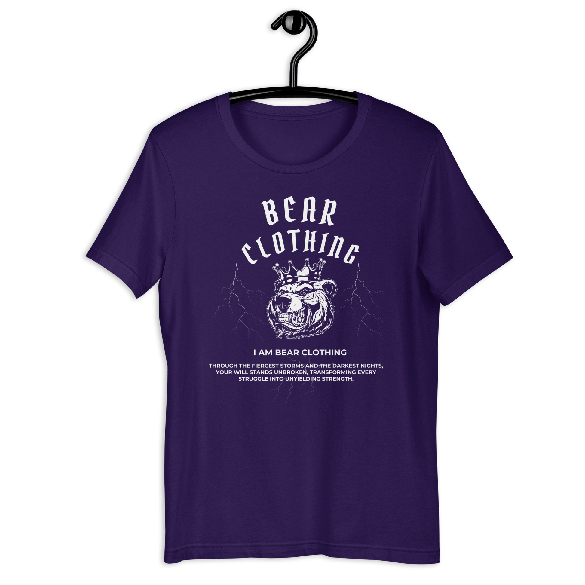25$ Premium Unisex Graphic t-shirt - Bearclothing