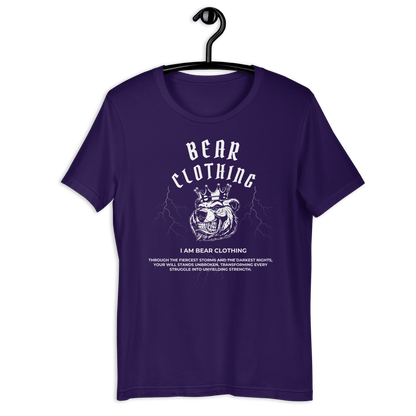 25$ Premium Unisex Graphic t-shirt - Bearclothing